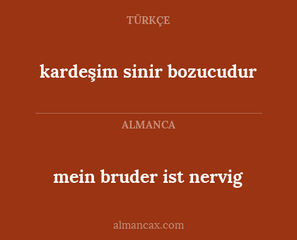 kardeşim sinir bozucudur - mein bruder ist nervig
