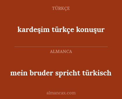 kardeşim türkçe konuşur - mein bruder spricht türkisch