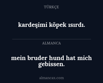 kardeşimi köpek ısırdı. - mein bruder hund hat mich gebissen.