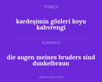 die augen meines bruders sind dunkelbraun - kardeşimin gözleri koyu kahvrengi