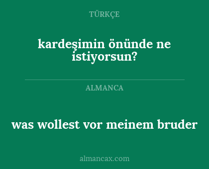 kardeşimin önünde ne istiyorsun? - was wollest vor meinem bruder