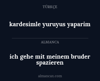 kardesimle yuruyus yaparim - ich gehe mit meinem bruder spazieren