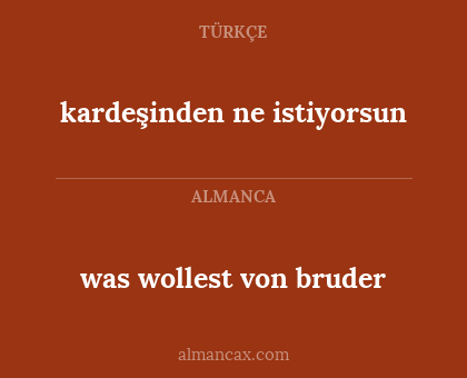 was wollest von bruder - kardeşinden ne istiyorsun