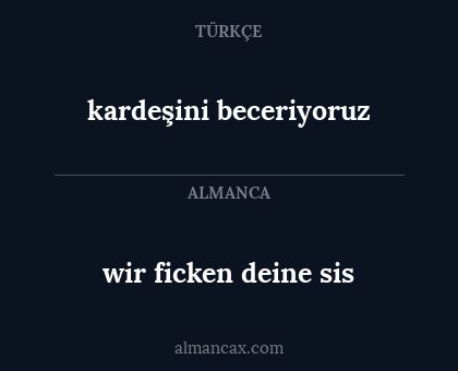 kardeşini beceriyoruz - wir ficken deine sis