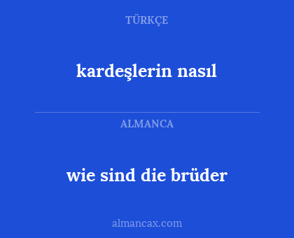 wie sind die brüder - kardeşlerin nasıl