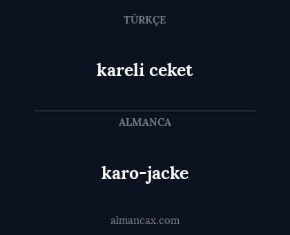 karo-jacke - kareli ceket