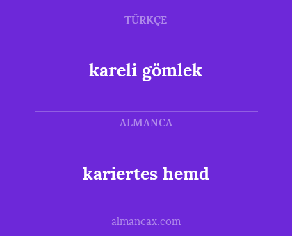 kareli gömlek - kariertes hemd