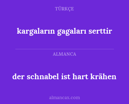 kargaların gagaları serttir - der schnabel ist hart krähen