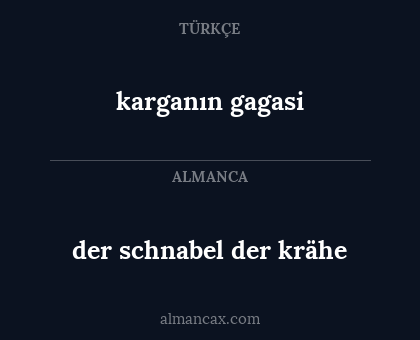 karganın gagasi - der schnabel der krähe