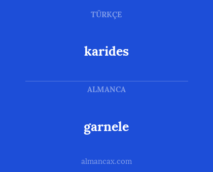 karides - garnele