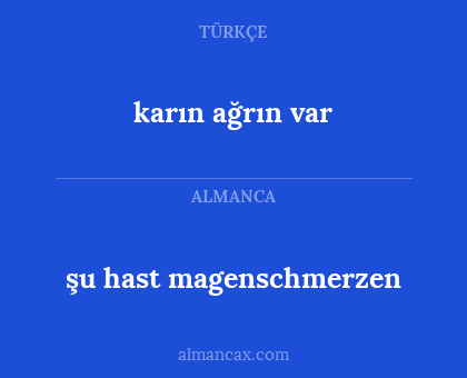 şu hast magenschmerzen - karın ağrın var