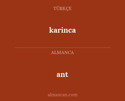ant - karinca