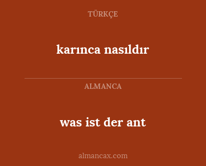 was ist der ant - karınca nasıldır