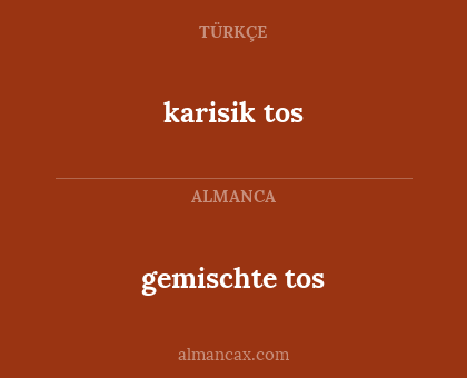 gemischte tos - karisik tos