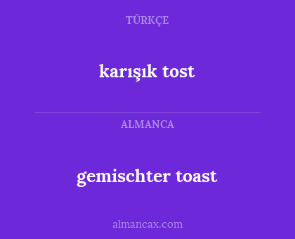 karışık tost - gemischter toast