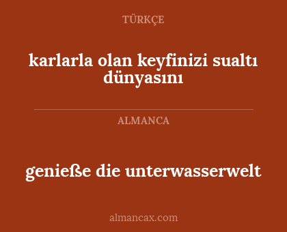 genieße die unterwasserwelt - karlarla olan keyfinizi sualtı dünyasını