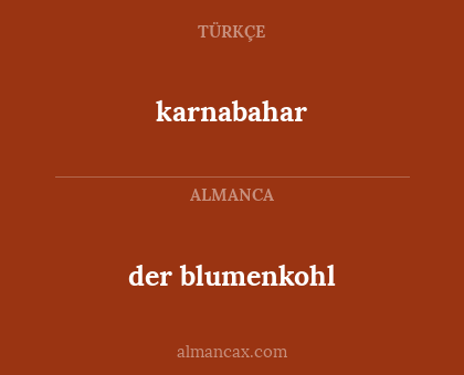 der blumenkohl - karnabahar