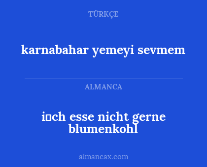 i̇ch esse nicht gerne blumenkohl - karnabahar yemeyi sevmem