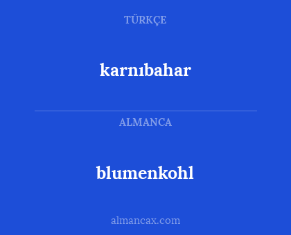 karnıbahar - blumenkohl