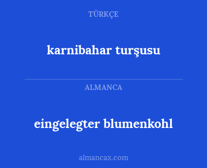 eingelegter blumenkohl - karnibahar turşusu