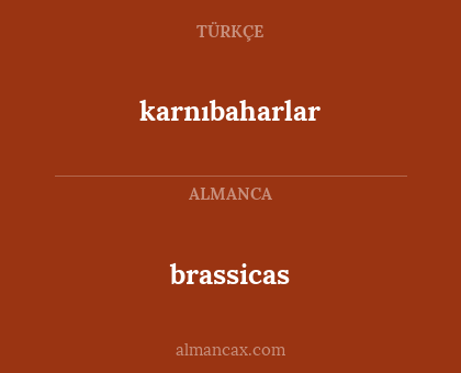 brassicas - karnıbaharlar