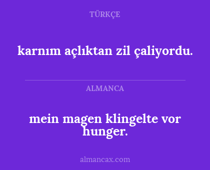 karnım açlıktan zil çaliyordu. - mein magen klingelte vor hunger.