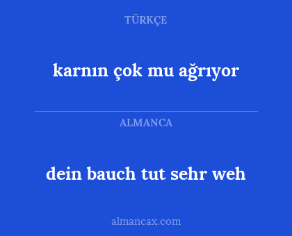 dein bauch tut sehr weh - karnın çok mu ağrıyor