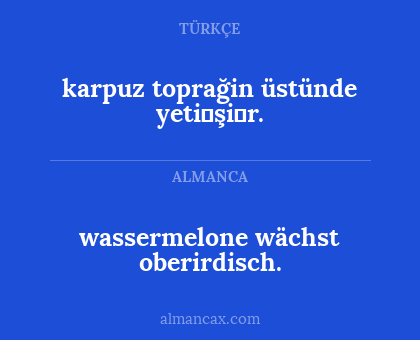 wassermelone wächst oberirdisch. - karpuz toprağin üstünde yeti̇şi̇r.
