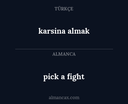 pick a fight - karsina almak