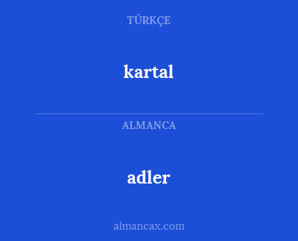 adler - kartal