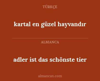 adler ist das schönste tier - kartal en güzel hayvandır