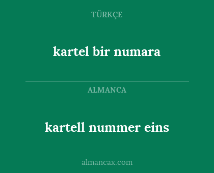 kartel bir numara - kartell nummer eins