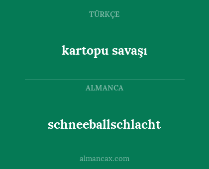 kartopu savaşı - schneeballschlacht