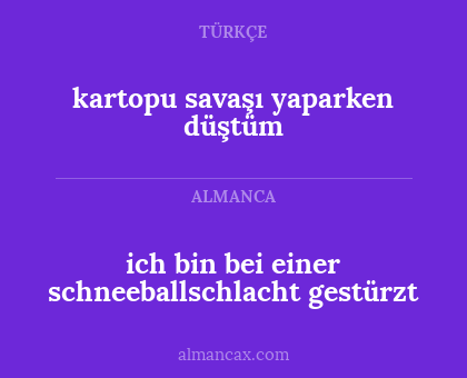 ich bin bei einer schneeballschlacht gestürzt - kartopu savaşı yaparken düştüm
