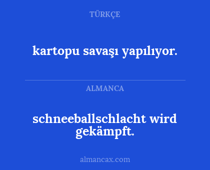 schneeballschlacht wird gekämpft. - kartopu savaşı yapılıyor.