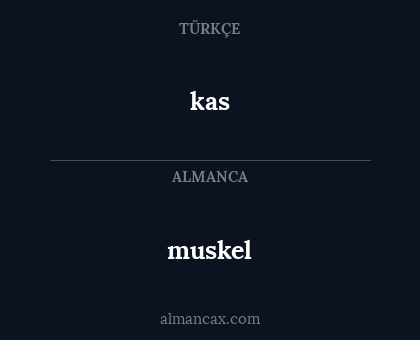 muskel - kas