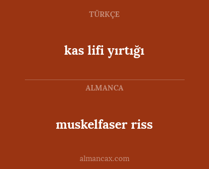 kas lifi yırtığı - muskelfaser riss