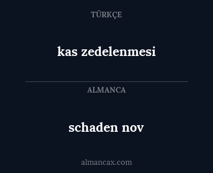 kas zedelenmesi - schaden nov