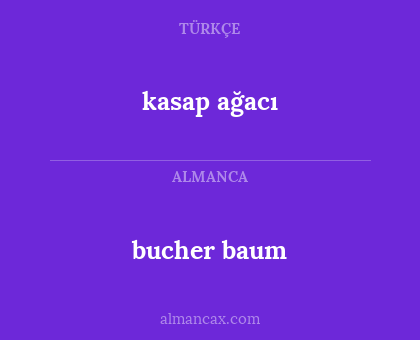 bucher baum - kasap ağacı