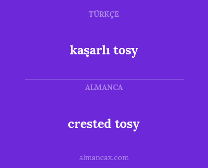 crested tosy - kaşarlı tosy