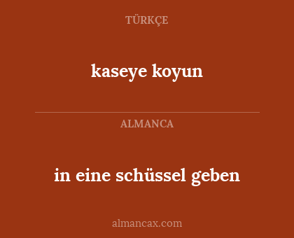 kaseye koyun - in eine schüssel geben