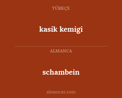 schambein - kasik kemigi