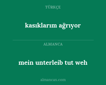 mein unterleib tut weh - kasıklarım ağrıyor