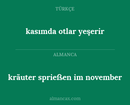 kräuter sprießen im november - kasımda otlar yeşerir