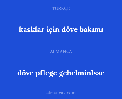 döve pflege gehelminlsse - kasklar için döve bakımı
