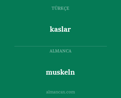 kaslar - muskeln