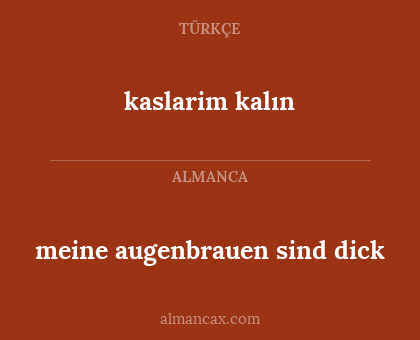 kaslarim kalın - meine augenbrauen sind dick