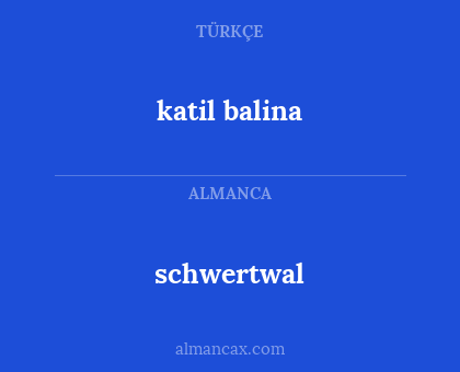 katil balina - schwertwal