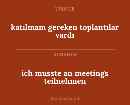 katılmam gereken toplantılar vardı - ich musste an meetings teilnehmen