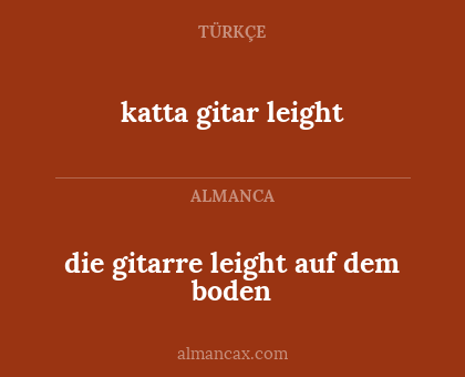 die gitarre leight auf dem boden - katta gitar leight